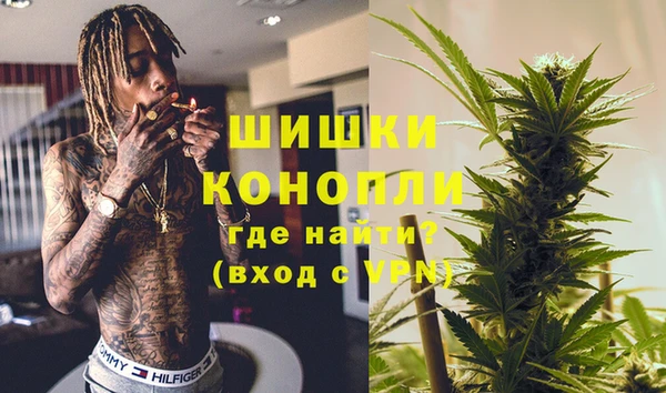 индика Вязьма
