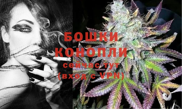 индика Вязьма