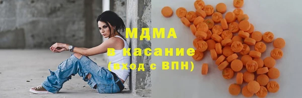 индика Вязьма