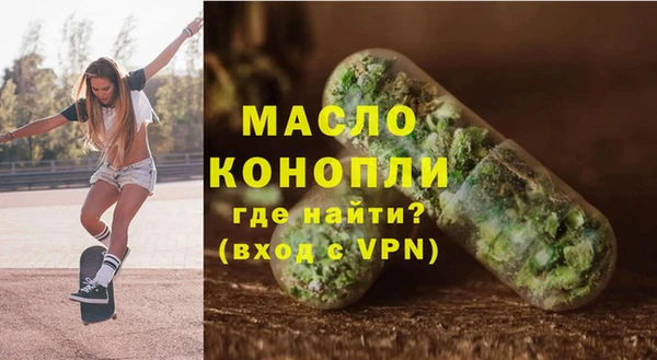 индика Вязьма