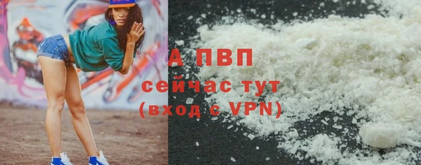 индика Вязьма