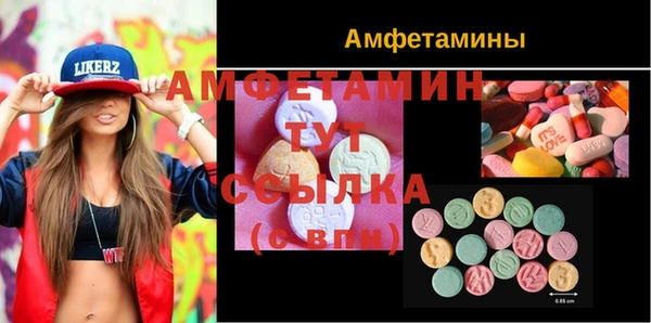индика Вязьма