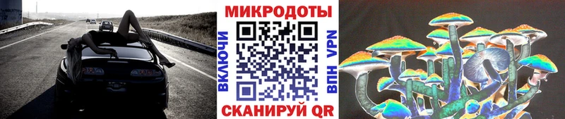 где продают наркотики  Гусиноозёрск  Галлюциногенные грибы Psilocybe 